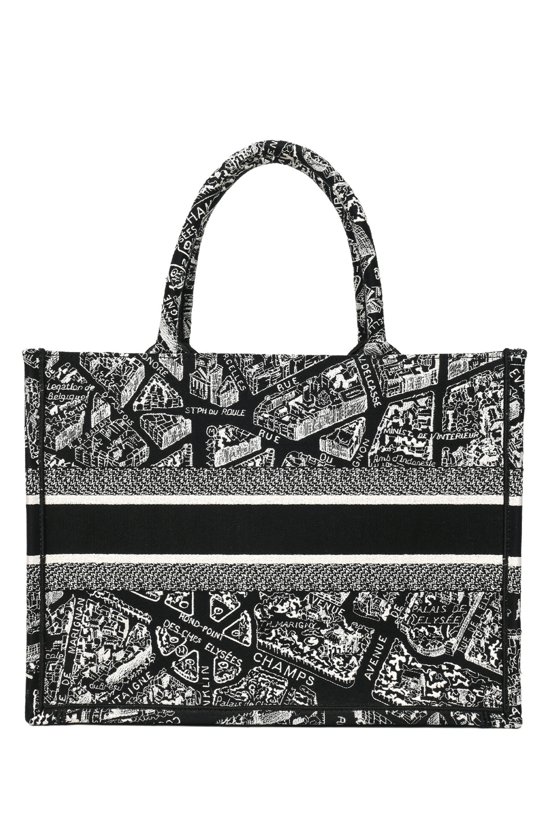 Dior 2022 Medium Plan De Paris Book Tote