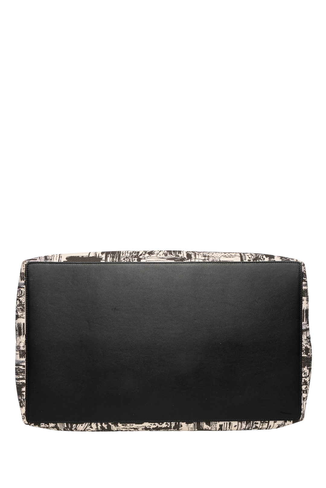 Dior F/W 2024 Statue of Liberty Printed Canvas Large Toujours Tote