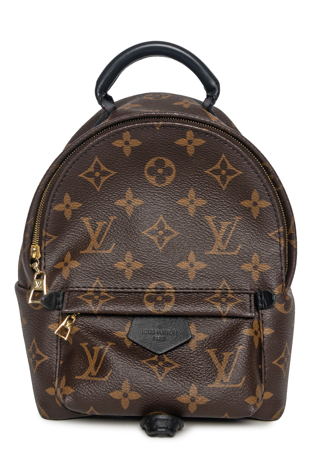 Louis Vuitton Palm Springs Mini BackPack