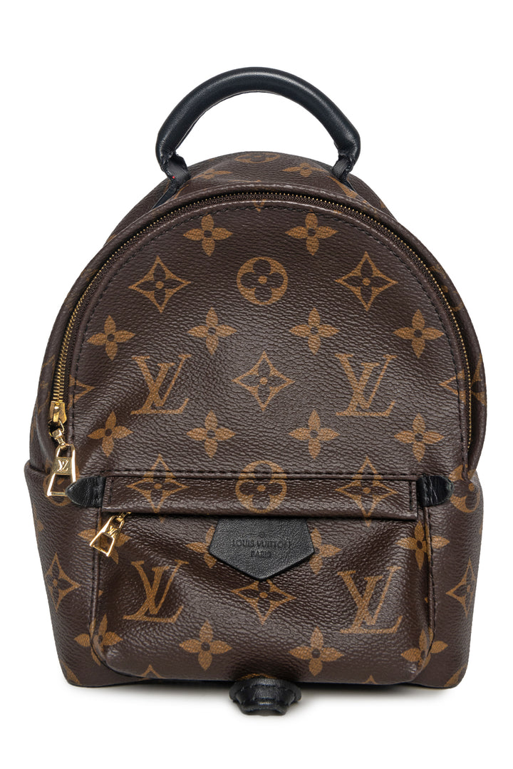 Louis Vuitton Palm Springs Mini BackPack