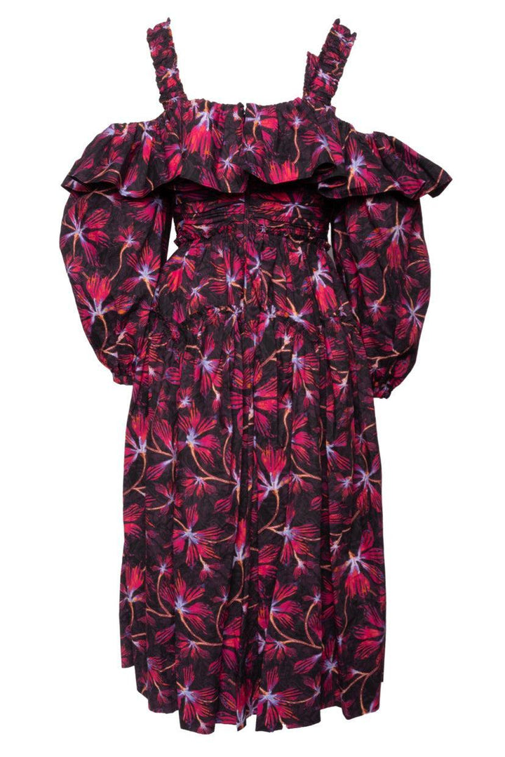 Ulla Johnson Size 6 Caprice Floral Cotton Poplin Midi Dress