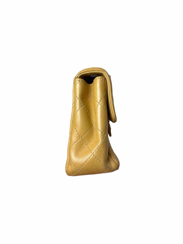 Chanel Small Resin Chain Leather Flap Purse