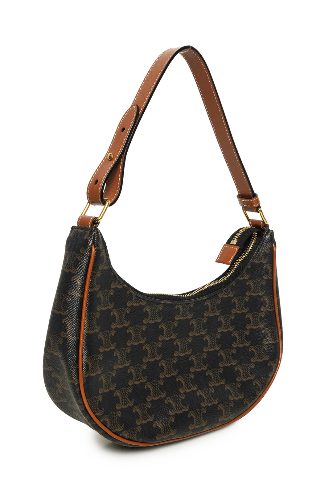 Celine Ava Bag in Triomphe Canvas & Calfskin