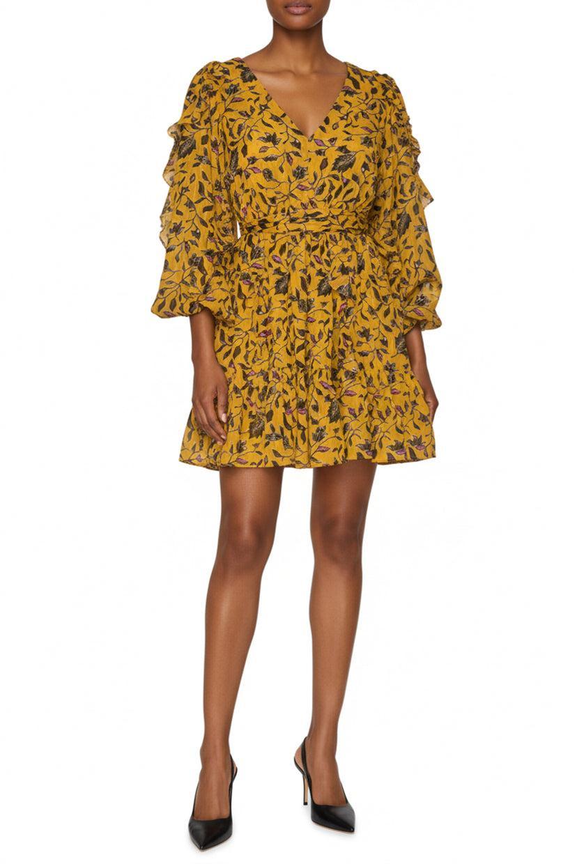 Ulla Johnson Size 0 Printed Ruffle Dress