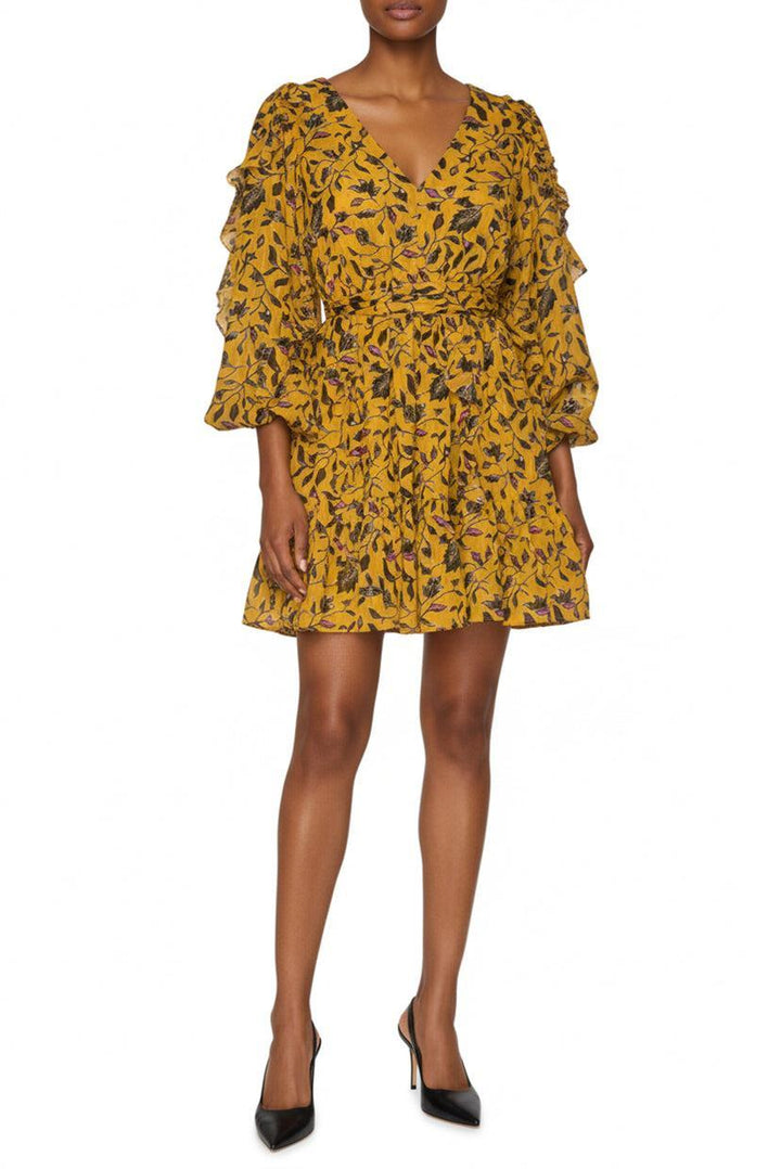 Ulla Johnson Size 0 Printed Ruffle Dress