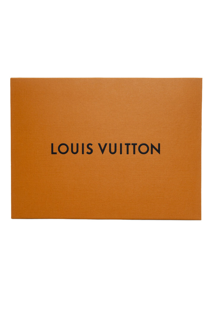 Louis Vuitton Monogram Empreinte Multi Pochette Accessoires