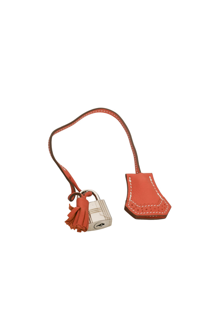 Hermes 2013 Sanguine Ghillies Birkin 35