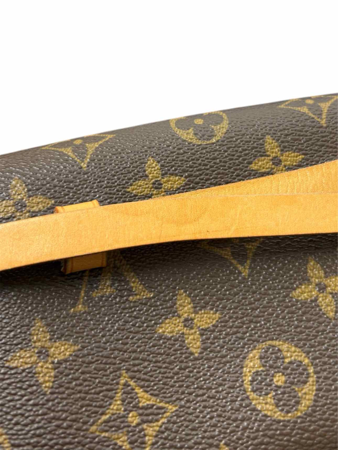Louis Vuitton Monogram  Pochette Florentine Belt Bag