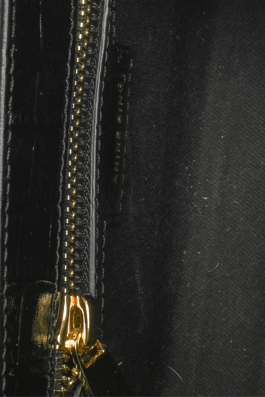 Anine Bing Croc Embossed Colette Crossbody