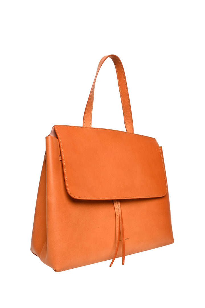 Longchamp Le Pliage Xtra XS Crossbody