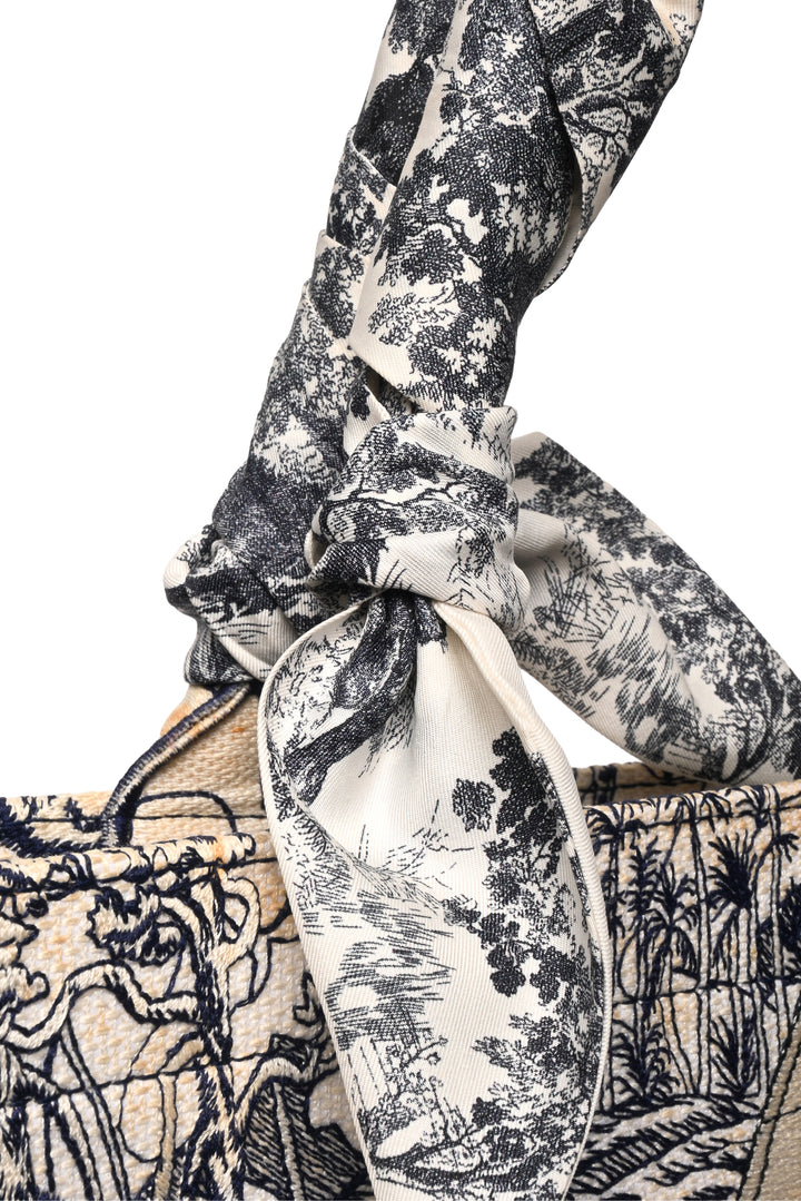Dior 2020 Around The World Book Tote