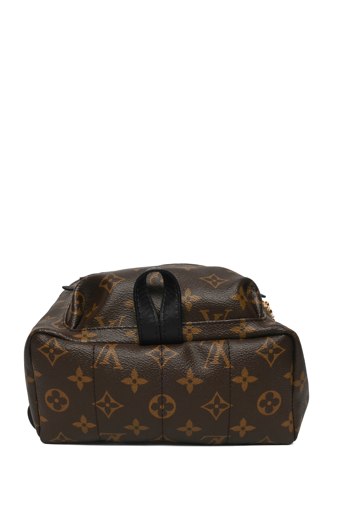 Louis Vuitton 2023 Monogram Canvas & Leather Palm Springs PM BackPack