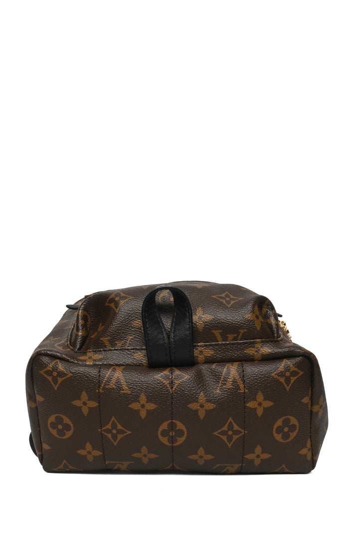 Louis Vuitton 2023 Monogram Canvas & Leather Palm Springs PM BackPack