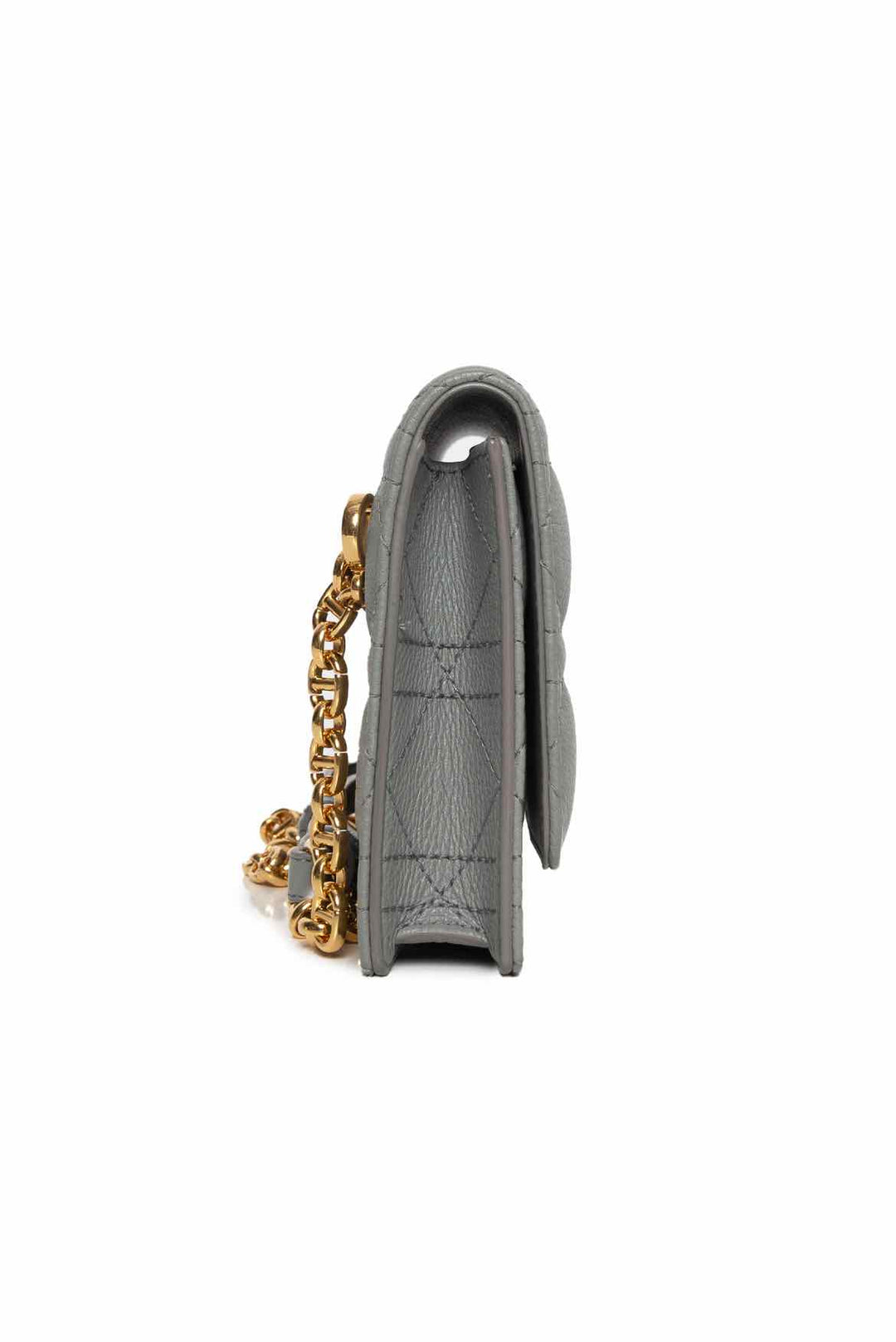 Christian Dior Caro Belt Pouch On Chain