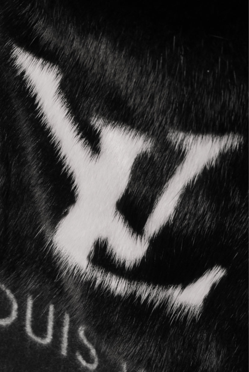 Louis Vuitton Cold Reykjavik Scarf