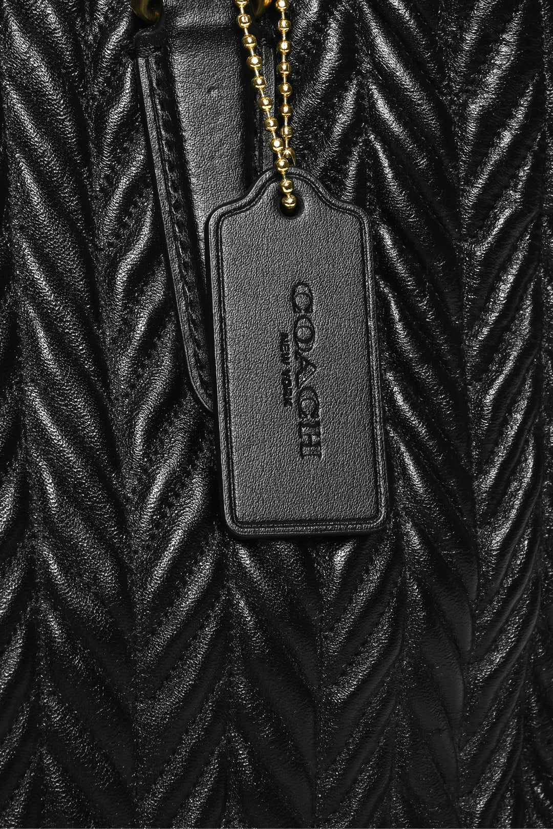 Coach Sage Caryall Crossbody