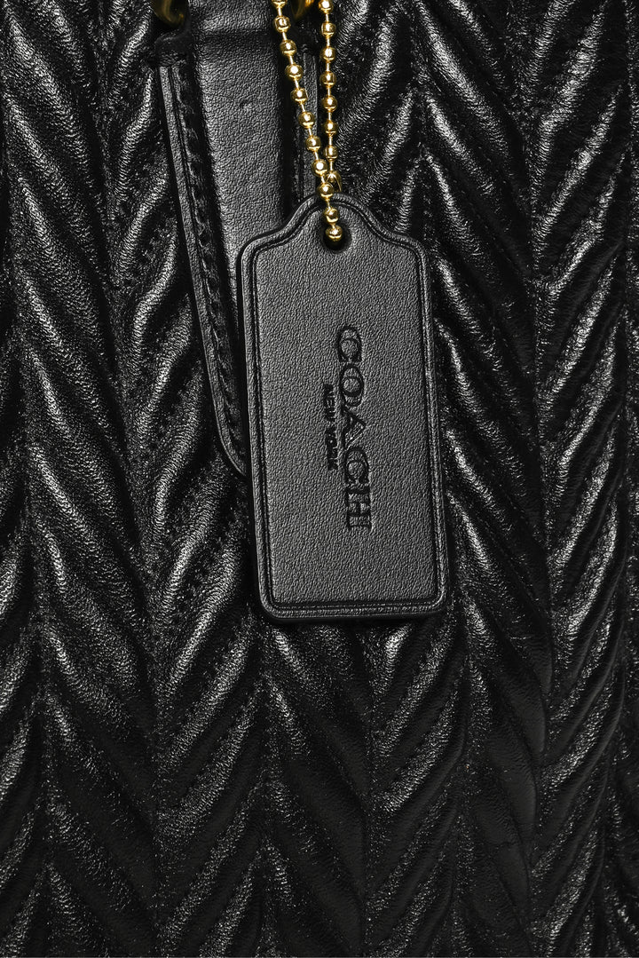 Coach Sage Caryall Crossbody