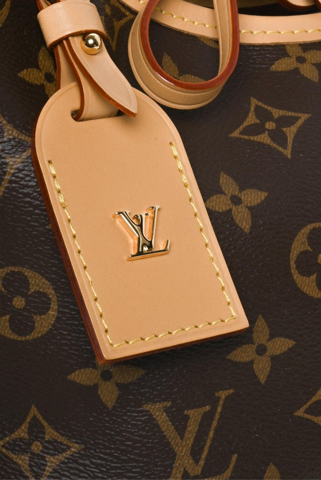 Louis Vuitton CarryAll PM Shoulder Bag