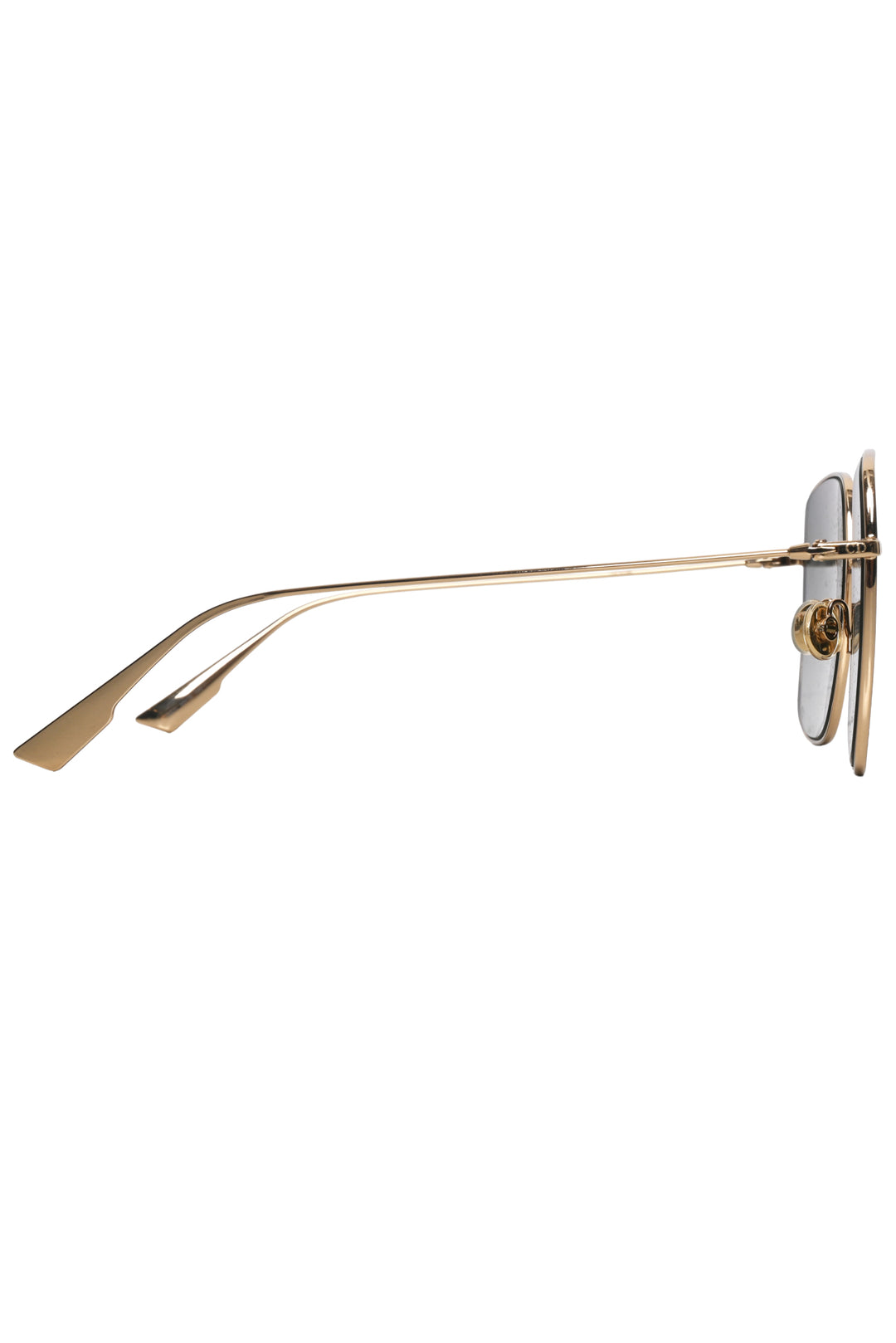 Dior DiorStellaire1 Sunglasses