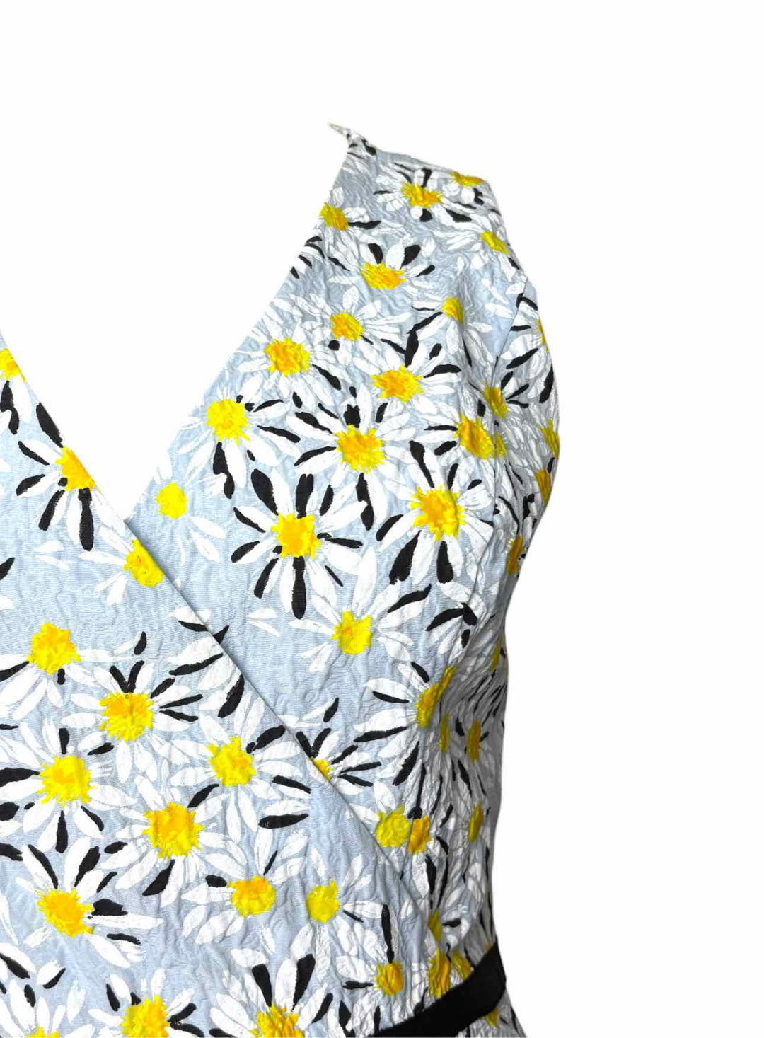 Carolina Herrera Size 8 Floral Cotton Sleeveless  Dress