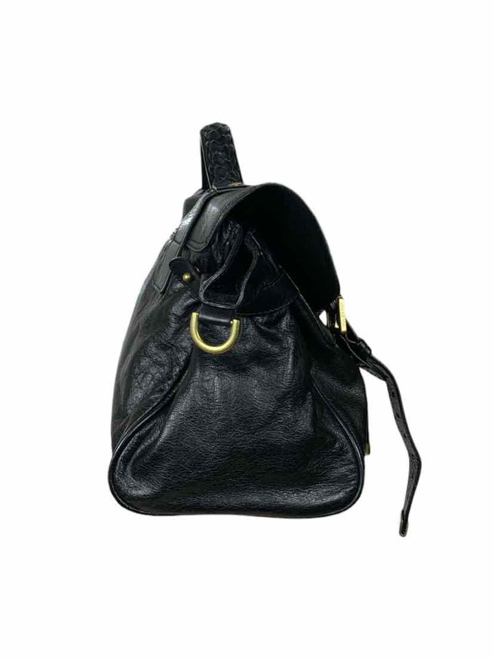 Mulberry Alexa Purse