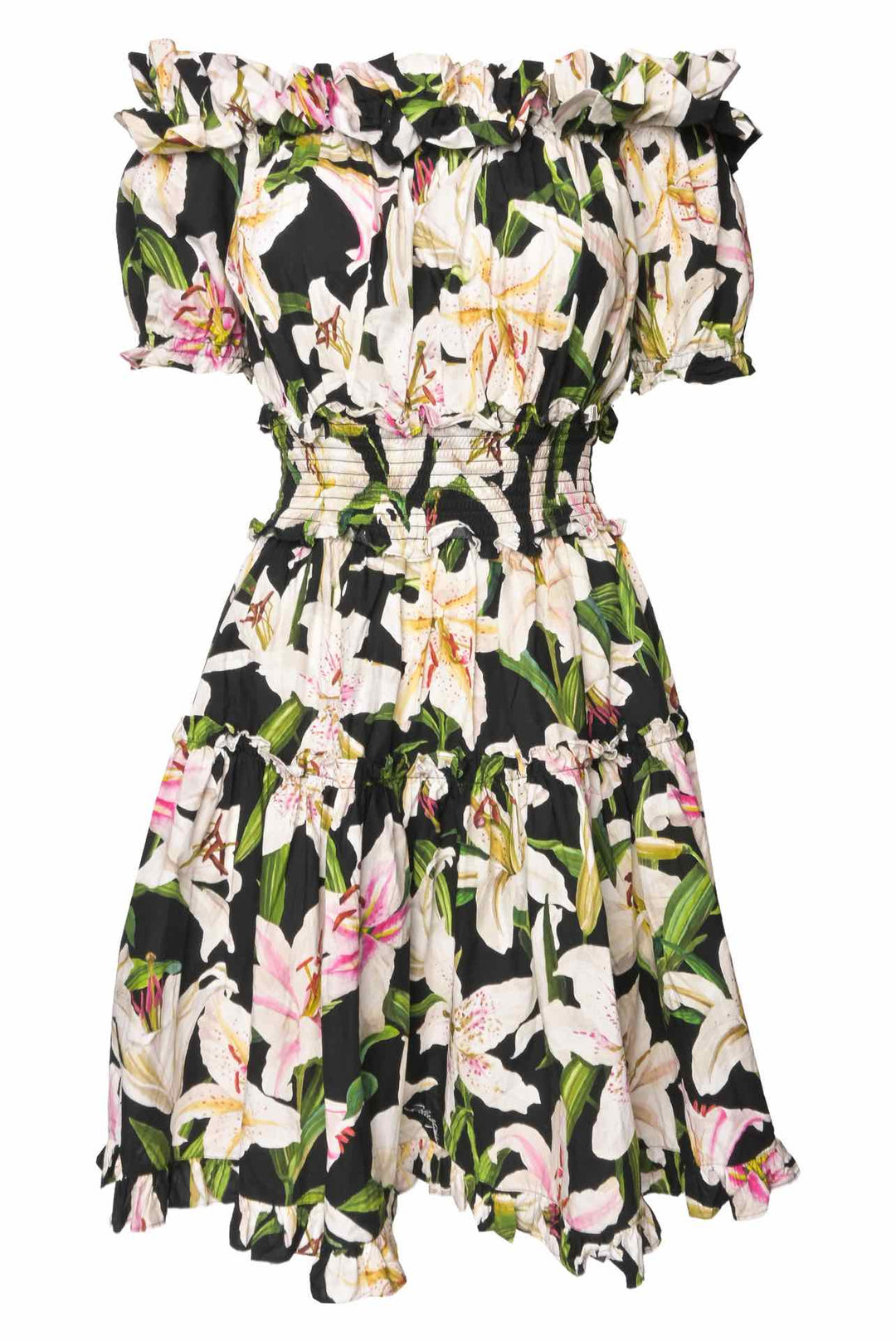 Dolce & Gabbana Size 40 Off The Shoulder Floral Print Dress