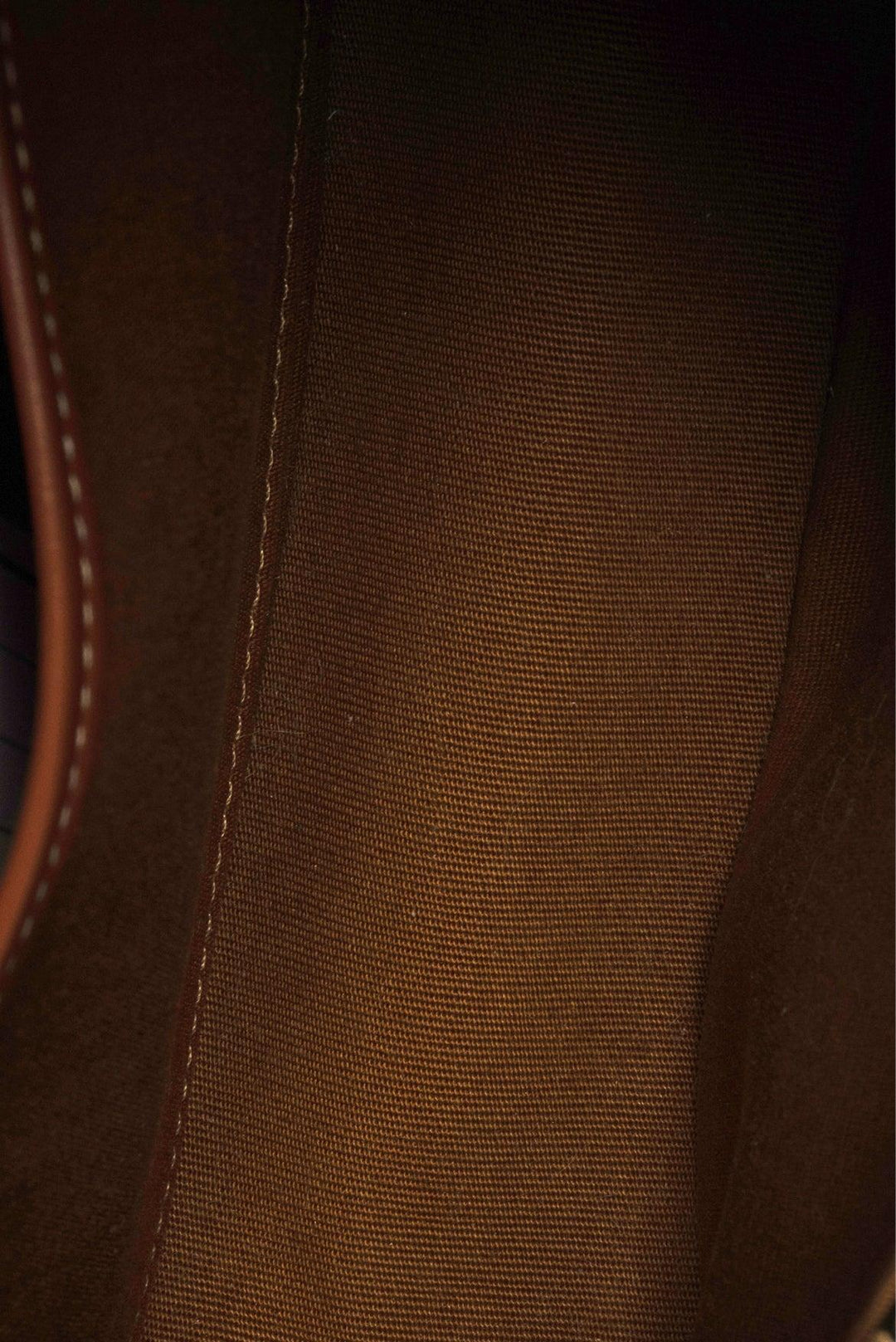 Celine Ava Bag in Triomphe Canvas & Calfskin