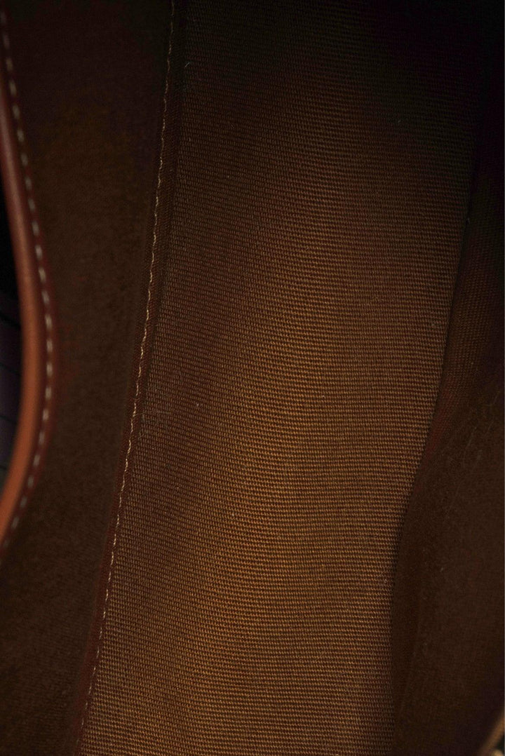 Celine Ava Bag in Triomphe Canvas & Calfskin