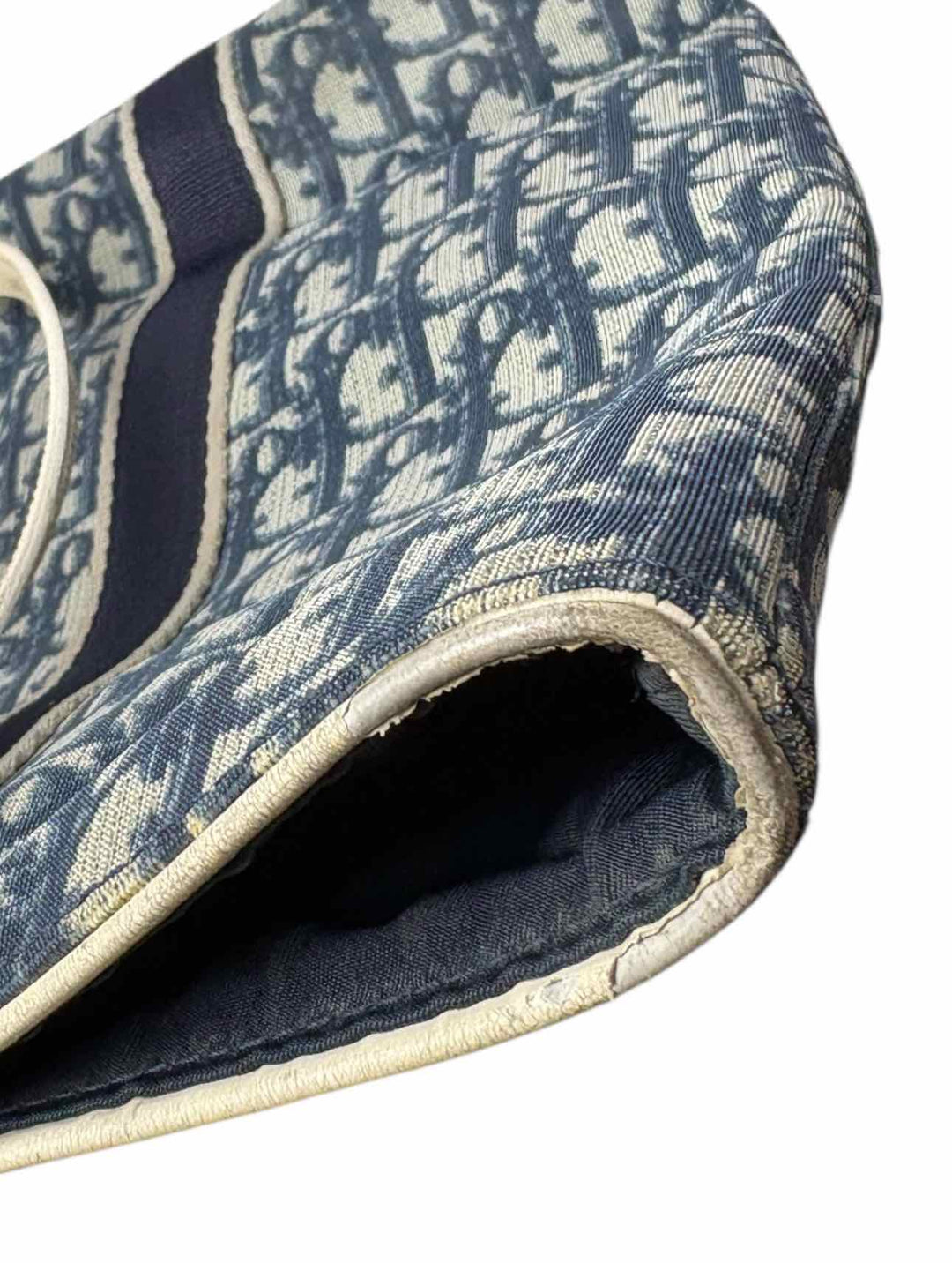 Dior Canvas Trotter Tote Purse