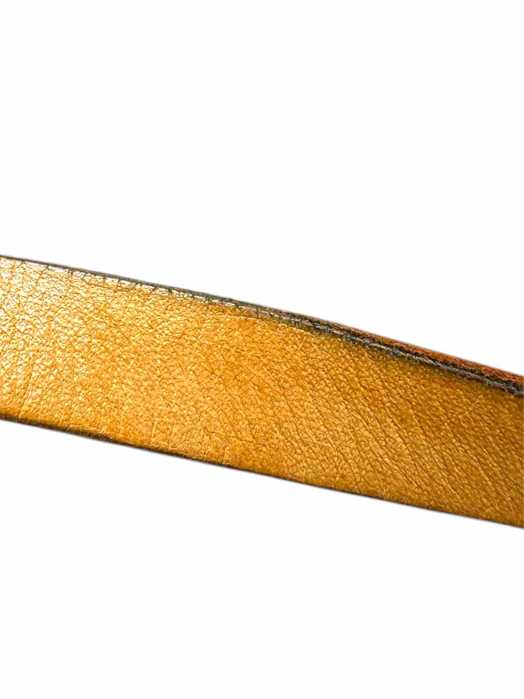 Louis Vuitton Monogram  Pochette Florentine Belt Bag