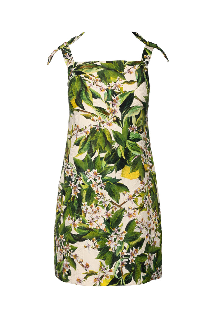 Dolce & Gabbana Size 38 Floral Mini Dress