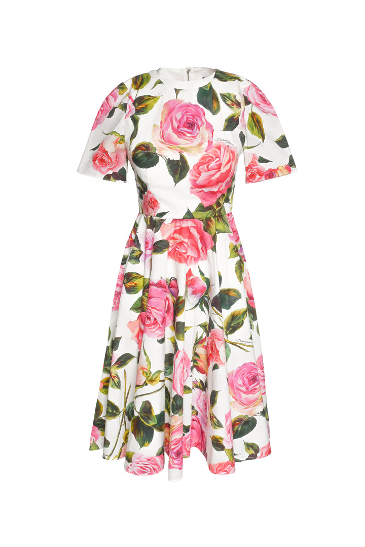 Dolce & Gabbana Size 40 Floral Cotton Midi Dress