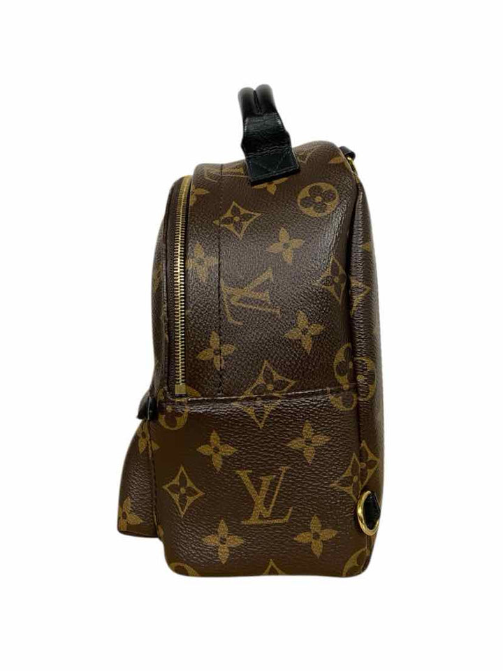 Louis Vuitton Mini Palm Springs Backpack