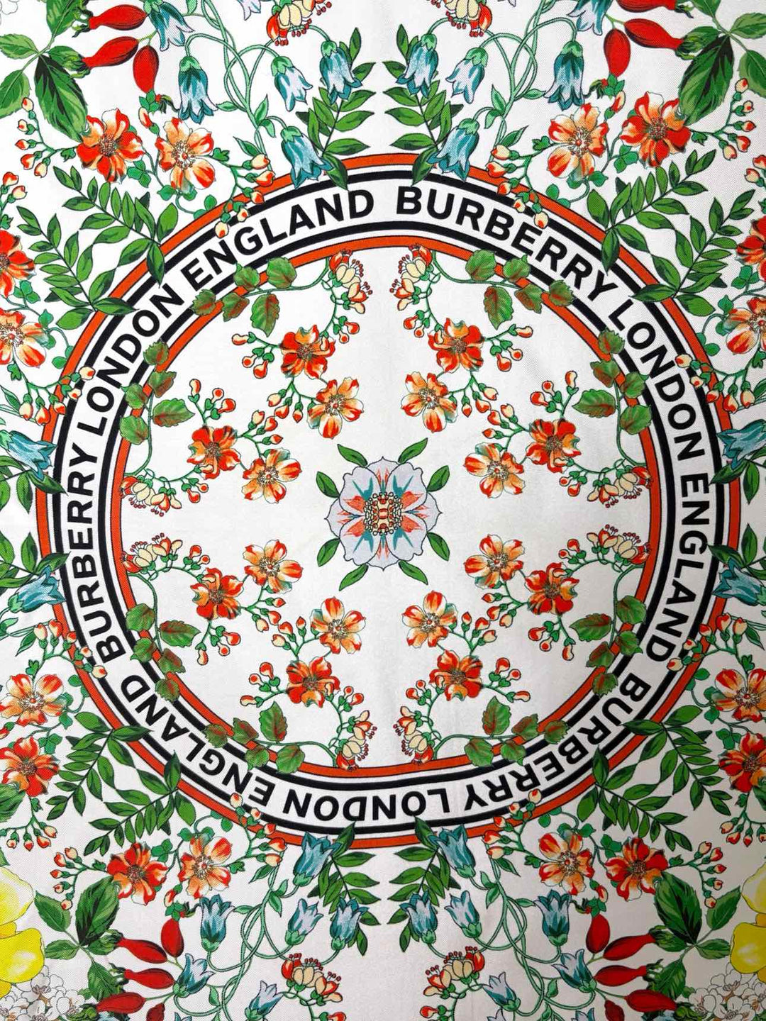 Burberry London Scarf