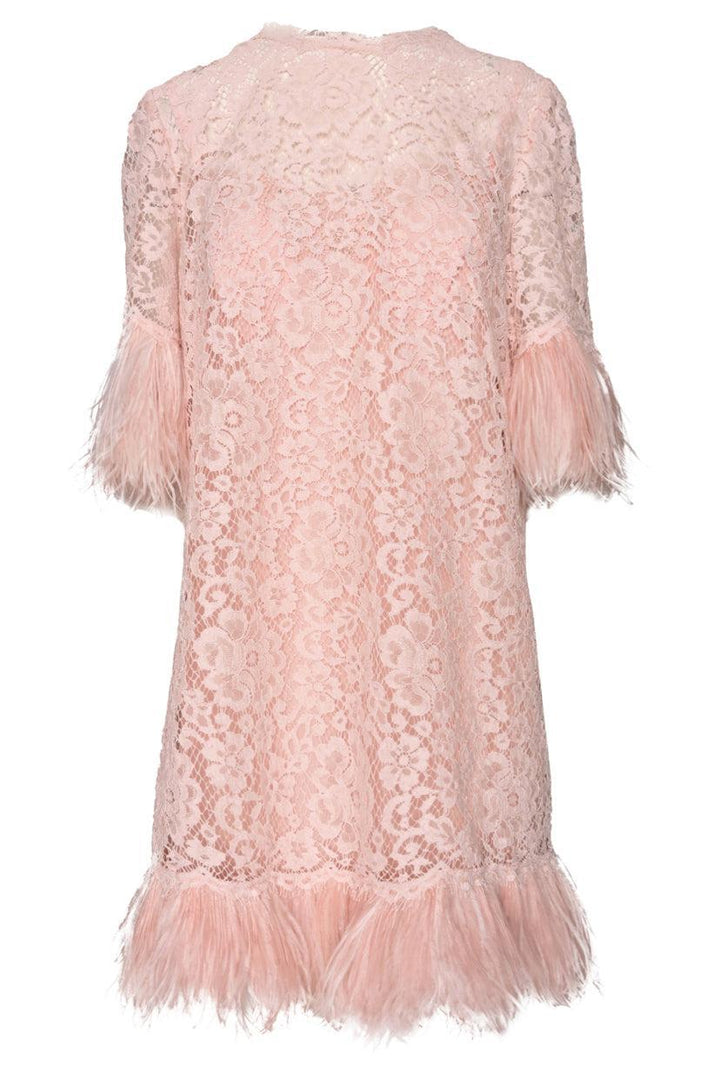 Dolce & Gabbana Size 48 Feather-Embellished Lace Dress