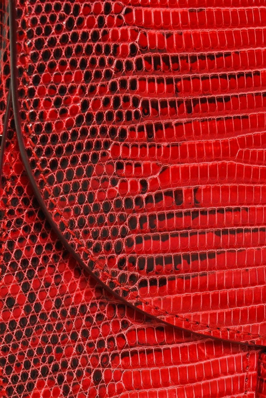 Celine 2016 Small Lizard Trotteur Crossbody