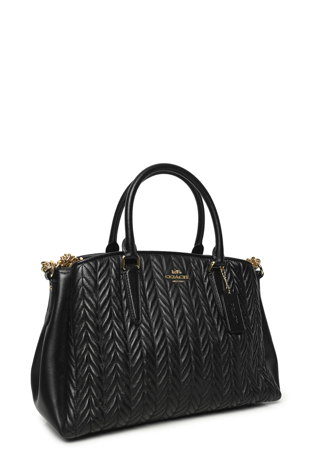 Coach Sage Caryall Crossbody
