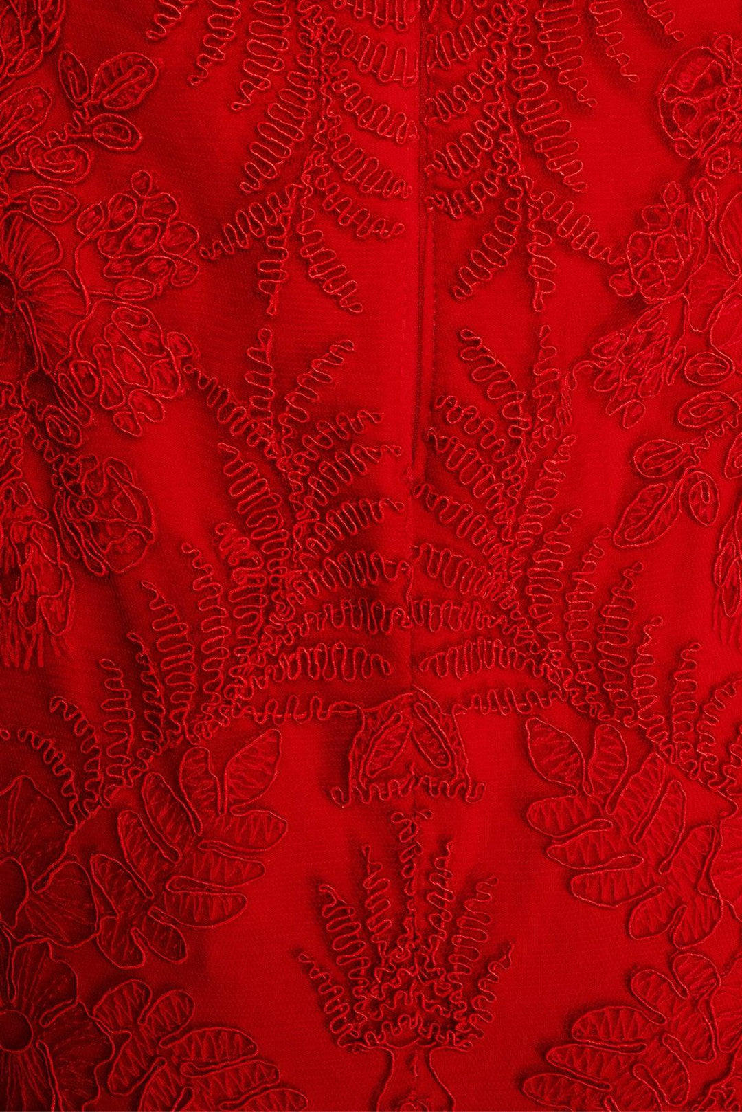 Tadashi Shoji Size 4 Maxi Lace Dress Gown