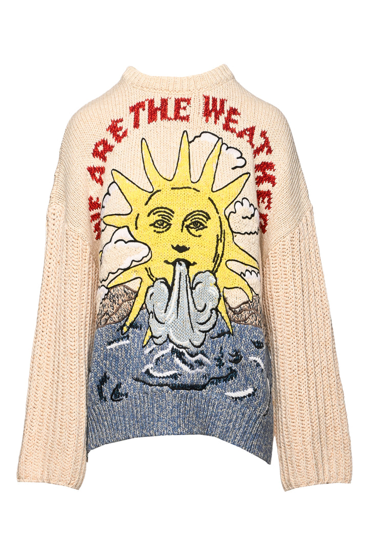 Stella Mccartney Size 40 We Are The Weather Sweater
