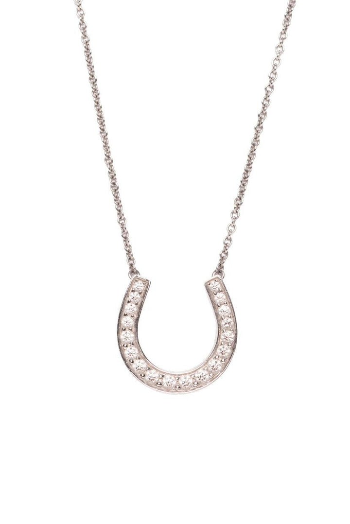 Tiffany & Co Platinum & Diamond Horseshoe Pendant Necklace