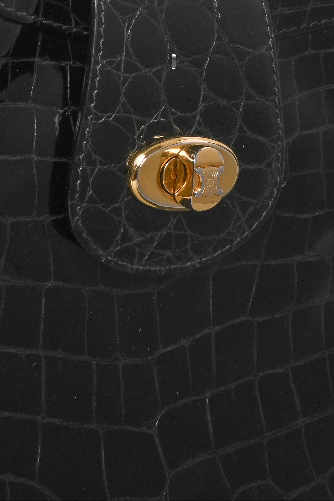 Celine Vintage Triomphe Croc Embossed Hobo