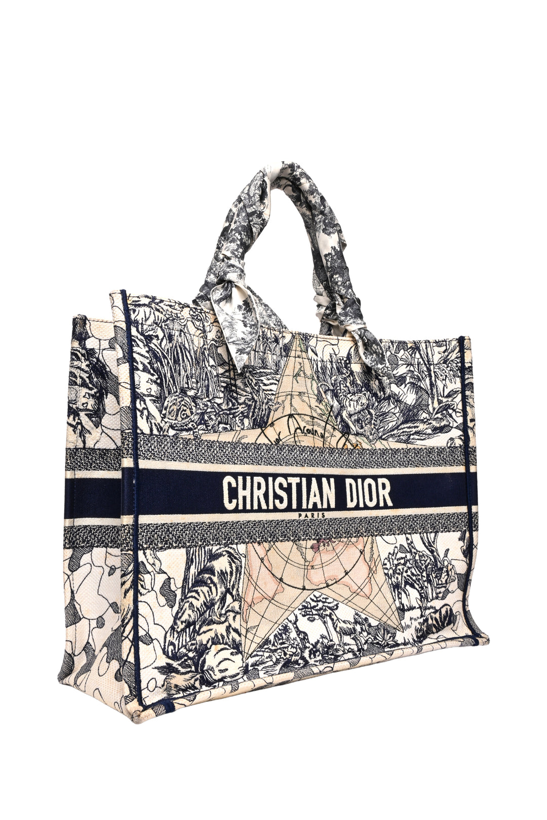 Dior 2020 Around The World Book Tote