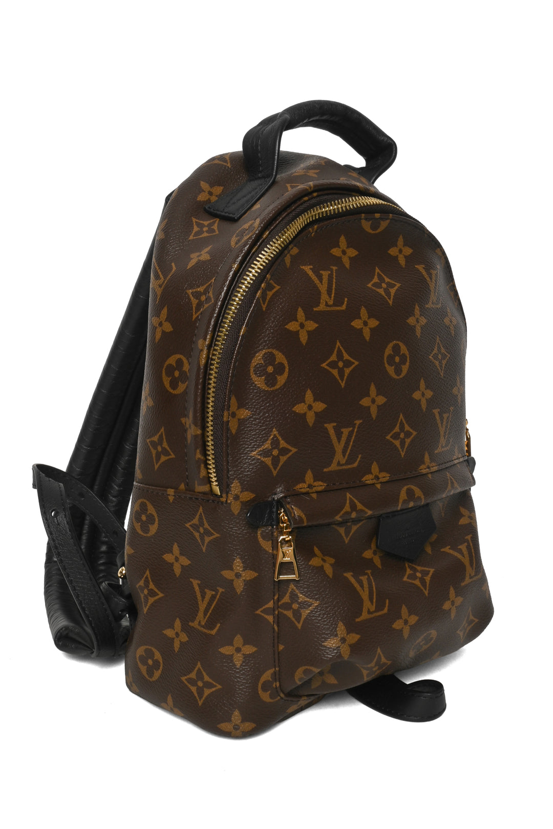 Louis Vuitton 2023 Monogram Canvas & Leather Palm Springs PM BackPack
