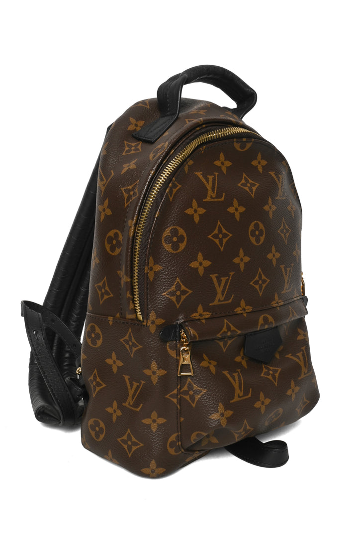Louis Vuitton 2023 Monogram Canvas & Leather Palm Springs PM BackPack