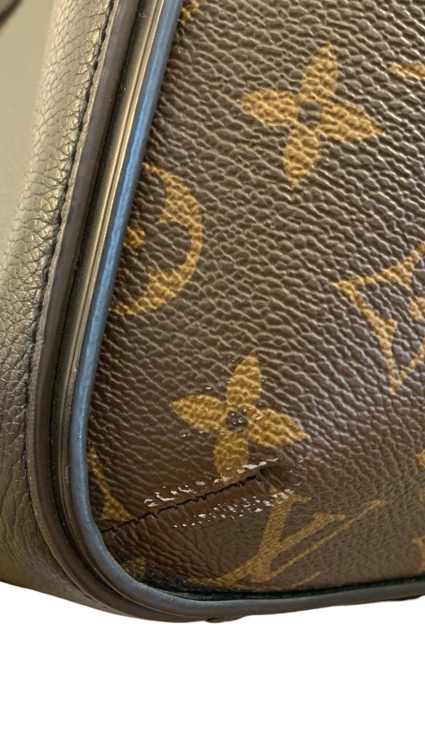 Louis Vuitton Purse