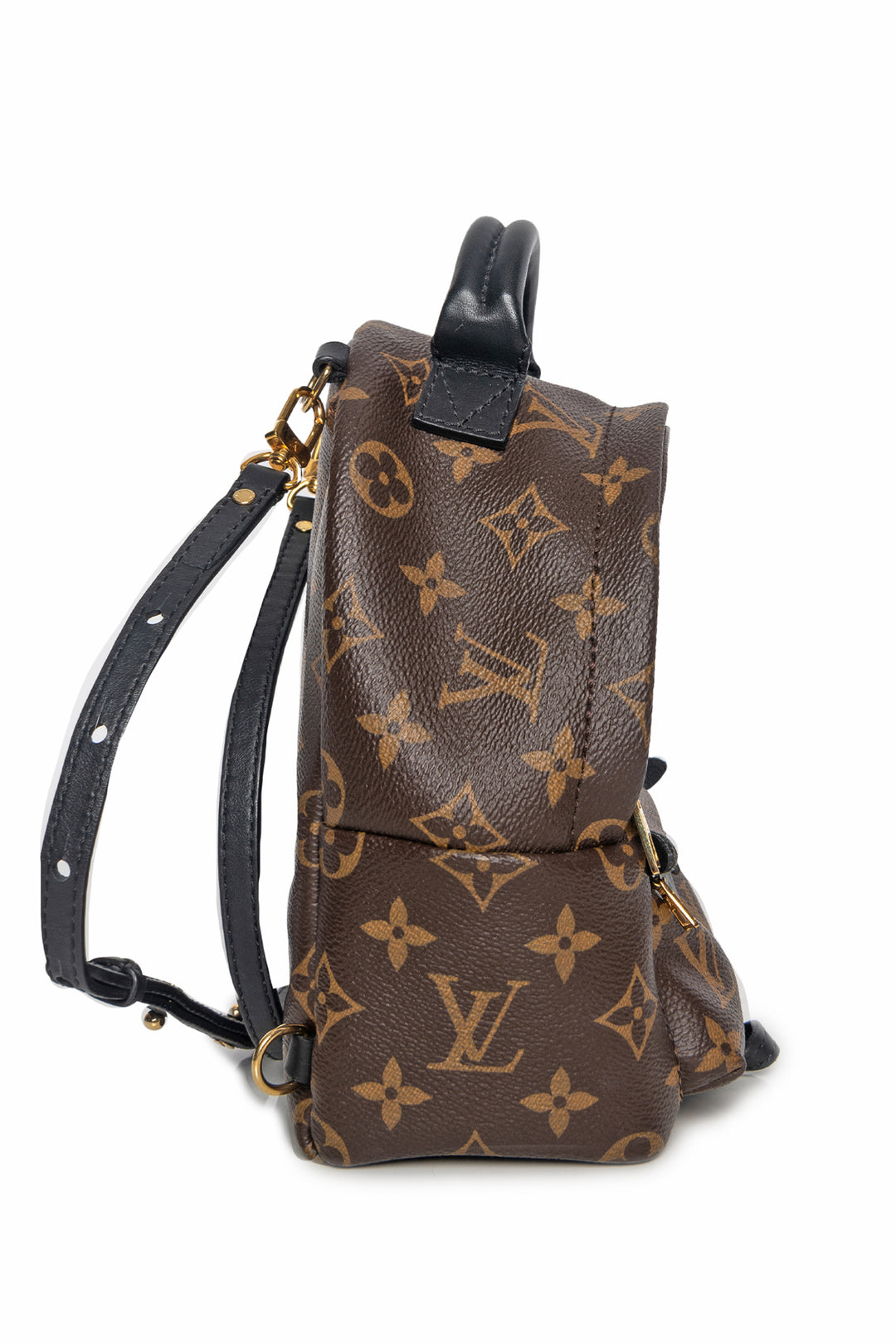 Louis Vuitton Palm Springs Mini BackPack