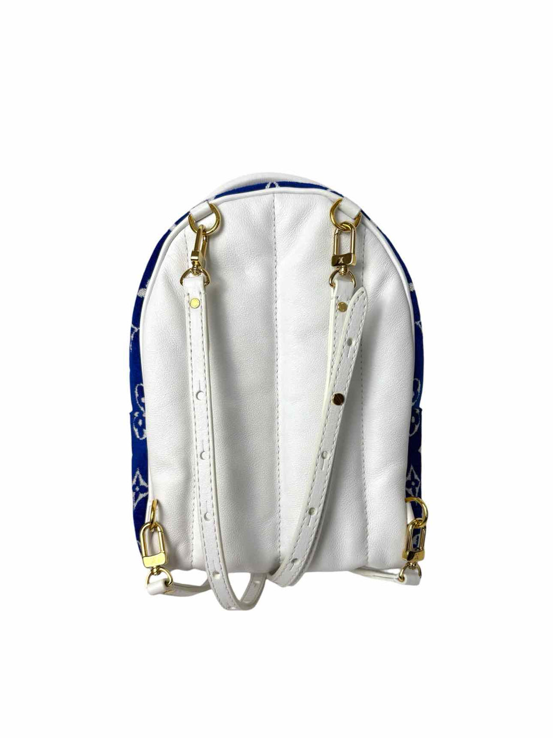 Louis Vuitton Mini Palm Springs Monogram Jacquard Velvet BackPack