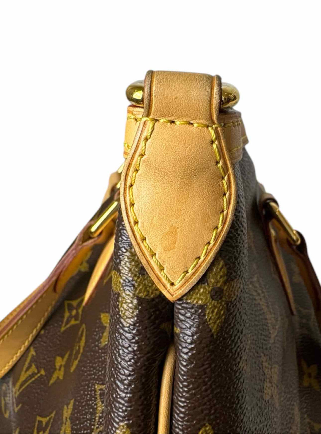 Louis Vuitton Palermo PM Purse
