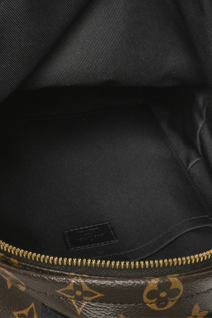 Louis Vuitton 2023 Monogram Canvas & Leather Palm Springs PM BackPack