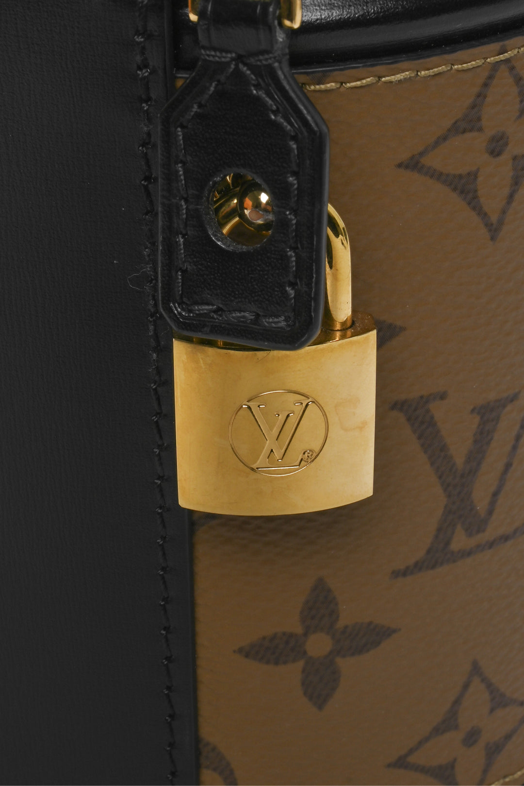 Louis Vuitton 2022 Monogram Reverse Cannes Bag
